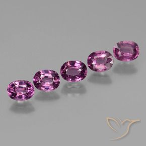 Shop natural 2.41ct Violet foncé Grenat Rhodolite gems, ovale, from Tanzanie at GemSelect. In stock, global shipping!