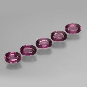 Achetez naturel ct Rose Grenat Rhodolite gems, Coupe ovale, En provenance Tanzanie chez GemSelect. En stock, livraison internationale!