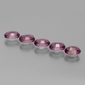 Achetez naturel ct Rose Grenat Rhodolite gems, Coupe ovale, En provenance Tanzanie chez GemSelect. En stock, livraison internationale!