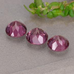 Achetez naturel 1,90ct pourpre grenat rhodolite gems, coupe roude, en provenance tanzanie chez gemselect. en stock, livraison internationale!