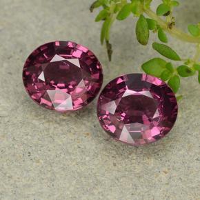 Achetez naturel 3.31ct Rose violacé Grenat Rhodolite gems, Coupe ovale, En provenance Mozambique chez GemSelect. En stock, livraison internationale!