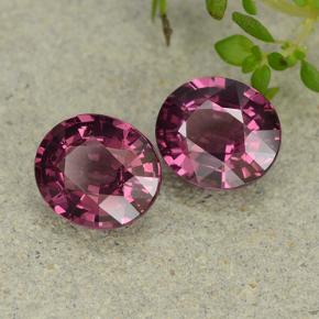 Achetez naturel 3.31ct Rose violacé Grenat Rhodolite gems, Coupe ovale, En provenance Mozambique chez GemSelect. En stock, livraison internationale!