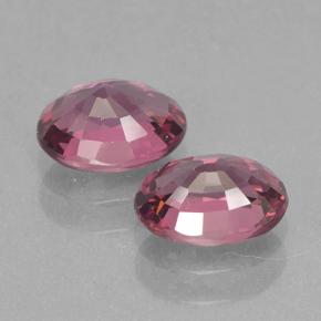 Achetez naturel 2,32ct rouge grenat rhodolite gems, coupe ovale, en provenance mozambique chez gemselect. en stock, livraison internationale!