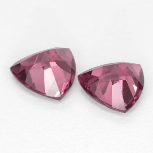 Achetez naturel 1.12ct Violet Rosâtre Grenat Rhodolite gems, Trillion, En provenance Mozambique chez GemSelect. En stock, livraison internationale!