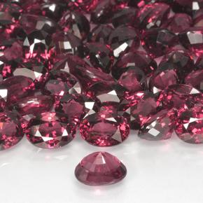 Grenat rhodolite rouge foncé naturelle coupe ovale, 1,24 ct, VVS-VS