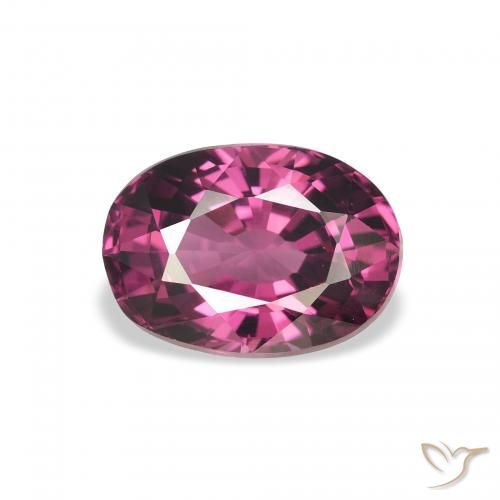 Grenat rhodolite Pourpre moyen naturelle ovale, 2.67 ct, VVS
