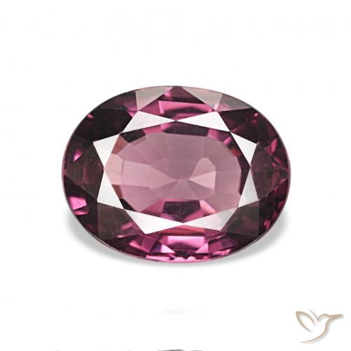 1.50ct Pourpre moyen Grenat Rhodolite, ovale, VVS