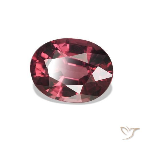 Grenat Rhodolite Medium Dark-Red naturelle Coupe ovale, 1.15 ct, VVS-VS