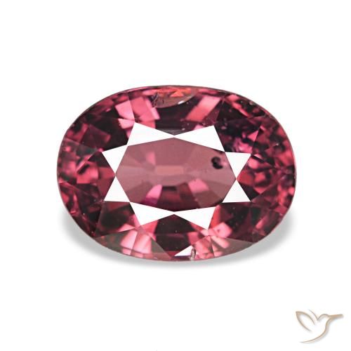 1.24ct Rouge merlot Grenat Rhodolite Pierres précieuses, ovale, VS