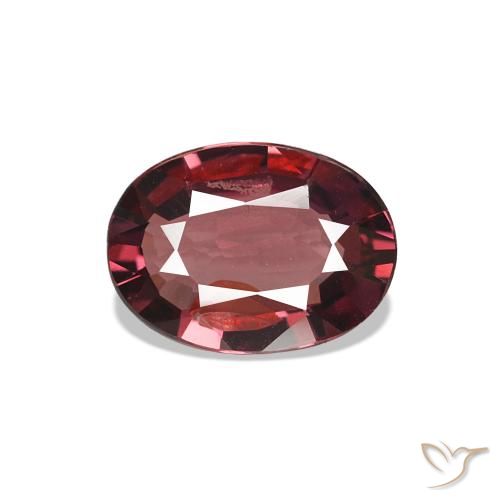 Grenat Rhodolite Vin rouge profond naturelle Coupe ovale, 0.76 ct, VS
