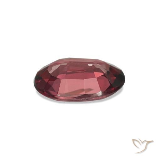 Grenat Rhodolite Vin rouge profond naturelle Coupe ovale, 0.76 ct, VS