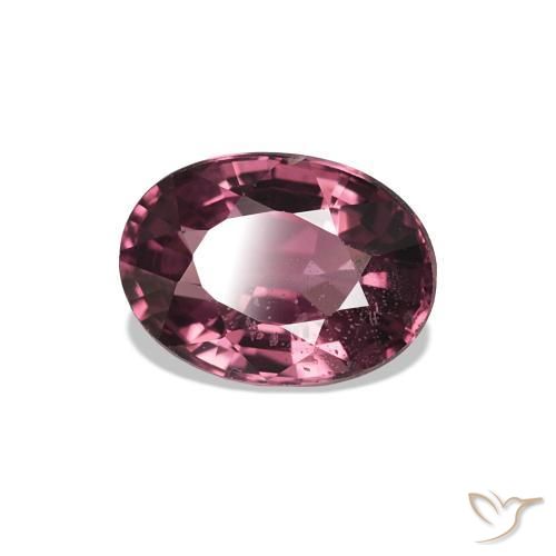 Grenat Rhodolite Pourpre moyen naturelle Coupe ovale, 1.07 ct, VS