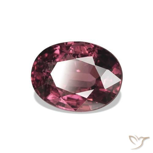 Grenat Rhodolite Medium Dark-Red naturelle Coupe ovale, 1.37 ct, VS-SI