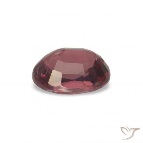 Grenat Rhodolite Rouge foncé naturelle Coupe ovale, 1.09 ct, VS