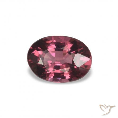 Grenat Rhodolite Ton rouge framboise naturelle Coupe ovale, 1.01 ct, VS