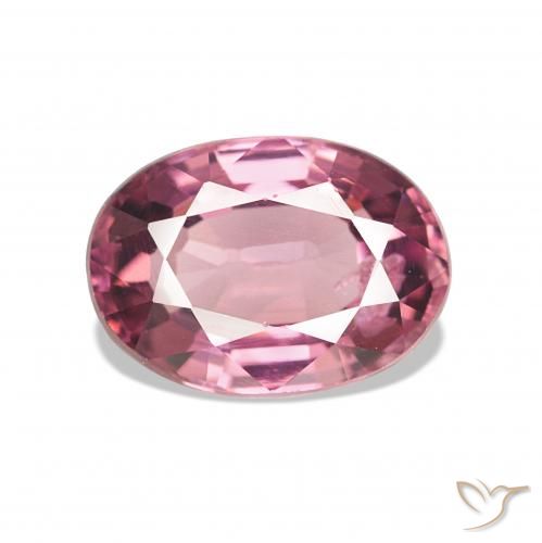 Grenat Rhodolite Medium Dark-Purple naturelle Coupe ovale, 1.05 ct, VS