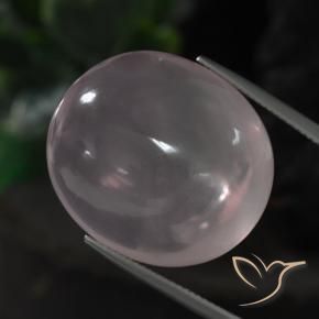 Quartz rose Rose clair naturelle ovale, 51.32 ct, Transparent