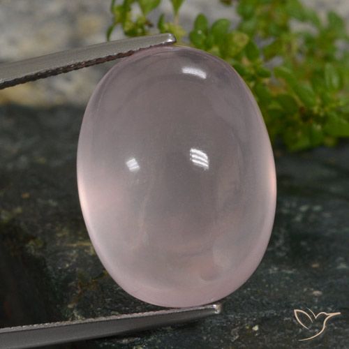 27.49ct Naturel Rose léger Quartz Rose, ovale, Translucide