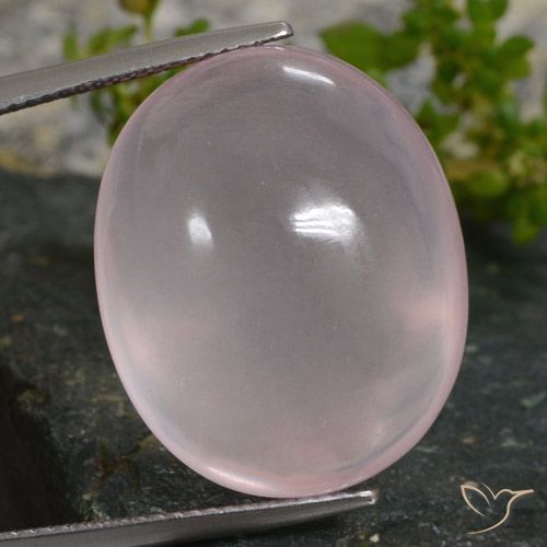35.16ct Naturel Rose corail Quartz Rose, ovale, Translucide