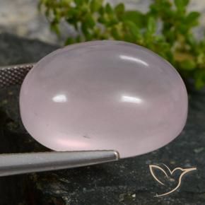 Quartz rose Rose corail naturelle ovale, 35.16 ct, Translucide