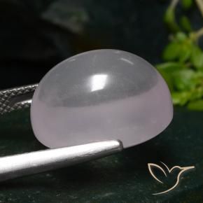 Quartz rose rose naturelle coupe ovale, 14,77 ct, translucide