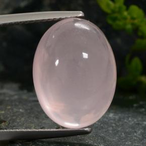 Quartz rose rose naturelle coupe ovale, 15,31 ct, translucide