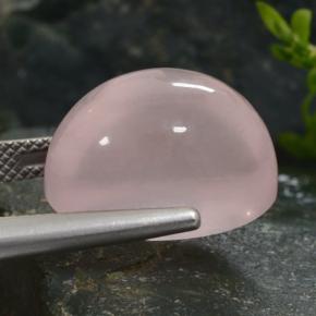 Quartz rose rose naturelle coupe ovale, 15,31 ct, translucide