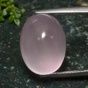 Quartz rose rose naturelle coupe ovale, 16,47 ct, translucide