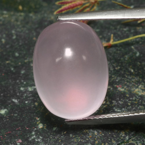 Quartz rose rose naturelle coupe ovale, 15,87 ct, translucide