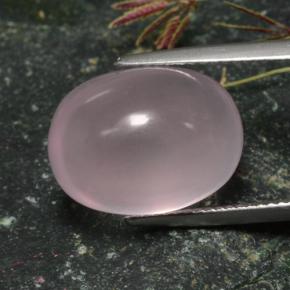 Quartz rose rose naturelle coupe ovale, 15,87 ct, translucide