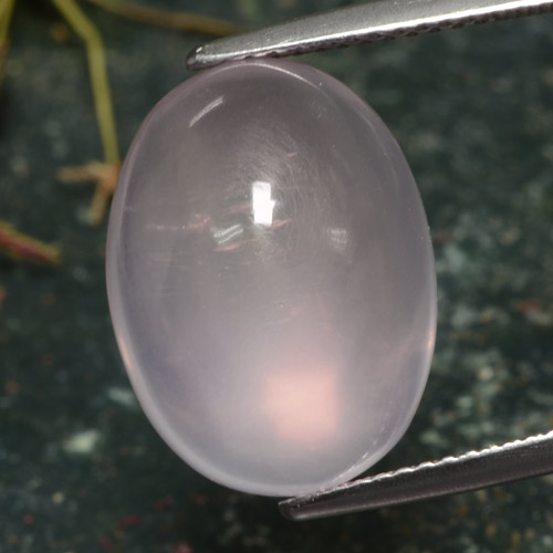 Quartz rose rose naturelle coupe ovale, 13,39 ct, translucide