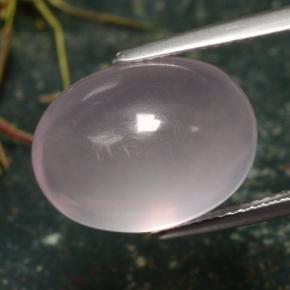 Quartz rose rose naturelle coupe ovale, 13,39 ct, translucide
