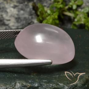 Quartz rose Rose rosé très clair naturelle ovale, 22.88 ct, Transparent