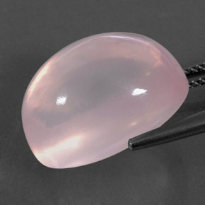 Quartz rose rose naturelle transparent, 19,79 ct, transparent / translucide