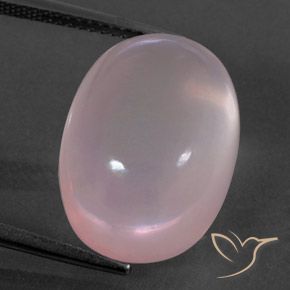 18.97ct Naturel Rose léger Quartz Rose, ovale, Transparent / Translucide