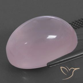 Quartz rose Rose rosé moyen naturelle ovale, 18.30 ct, Transparent / Translucide