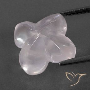 Quartz rose Rose rosé très clair naturelle Taille Fleur, 8.83 ct, Transparent / Translucide