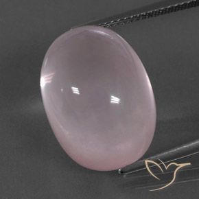 19.58ct Naturel Rose corail Quartz Rose, ovale, Transparent