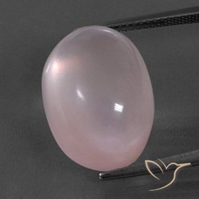 19.49ct Naturel Rose clair Quartz Rose, ovale, Transparent
