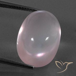 18.64ct Naturel Rose corail Quartz Rose, ovale, Transparent