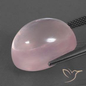 Quartz rose rose naturelle coupe ovale, 20,78 ct, transparent