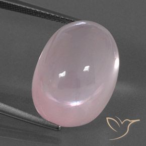 21.41ct Naturel Rose corail Quartz rose, ovale, Transparent