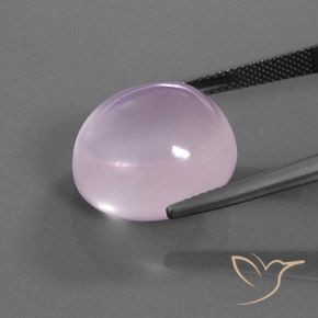 Quartz rose Rose clair naturelle ovale, 20.73 ct, Transparent