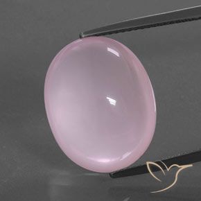 15.78ct Naturel Rose bubblegum Quartz rose, ovale, Transparent