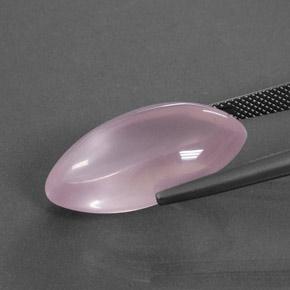 Quartz Rose Rose moyen naturelle Marquise, 18.96 ct, Transparent