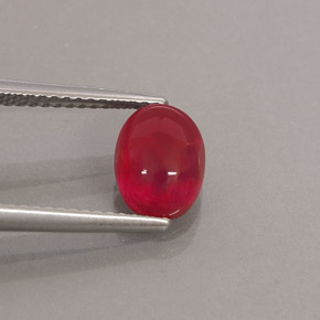 Rubis rouge naturelle transparent, 2,46 ct, transparent / translucide