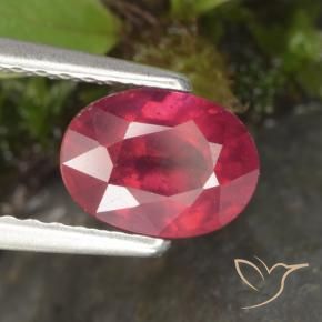 Rubis Rouge moyen naturelle ovale, 1.41 ct, VS-SI
