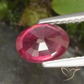 Rubis Rouge moyen naturelle ovale, 1.41 ct, VS-SI