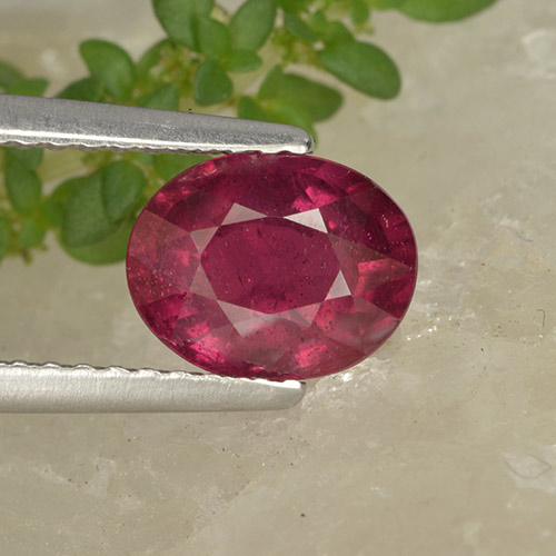 Rubis Cramoisi profond naturelle Coupe ovale, 1.74 ct, VS-SI