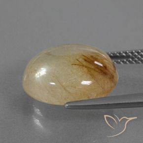 Quartz rutile Marron doré très clair naturelle Tour, 7.04 ct, Transparent